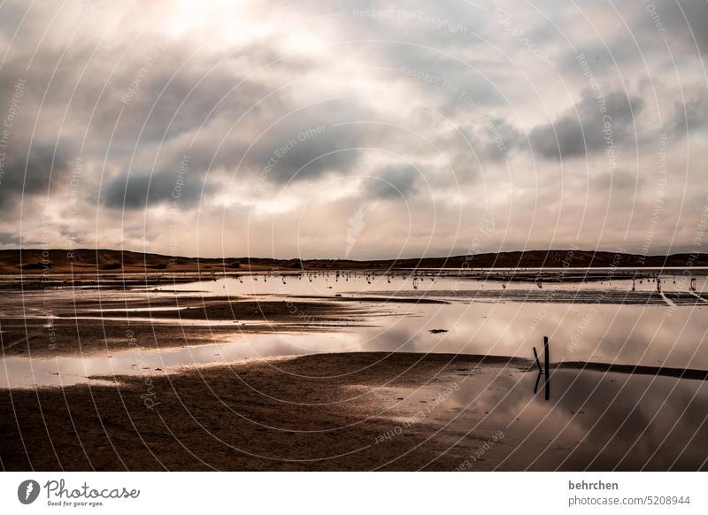 wasserwolken Spiegelung im Wasser sandwich harbour Swakopmund besonders Walvisbay beeindruckend Himmel Abenteuer Landschaft Farbfoto Freiheit Natur