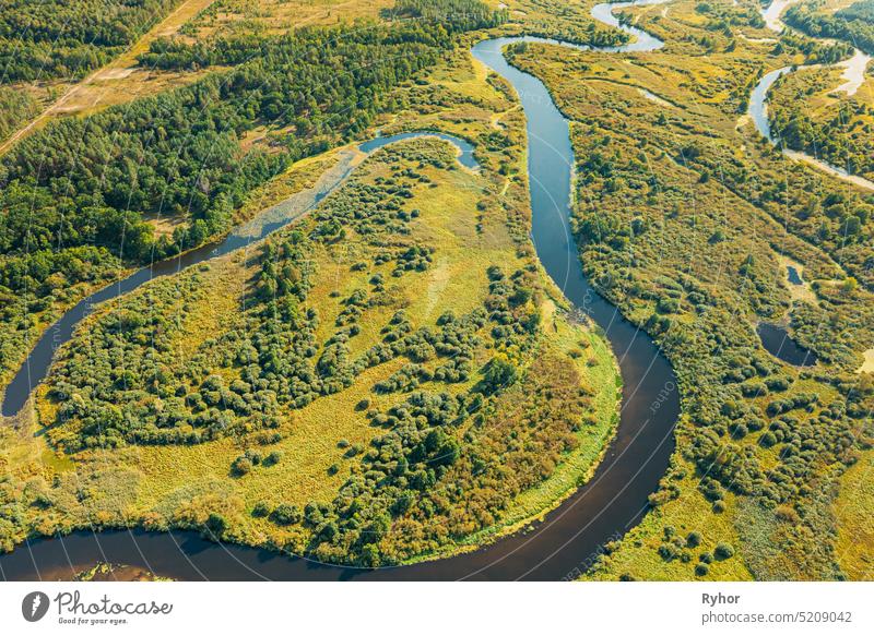 Luftaufnahme Grüner Wald Wälder und Flusslandschaft im sonnigen Frühling Sommer Tag. Top View of Beautiful European Nature From High Attitude In Autumn Season. Drone Ansicht. Vogelperspektive Ansicht