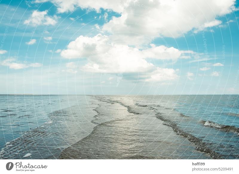 Wellen überschwappen eine Sandbank bei auflaufender Flut Ebbe Gezeiten Nordsee Wattenmeer Himmel Wolken Horizont Küste Strand Wasser Wattwandern Meer Insel