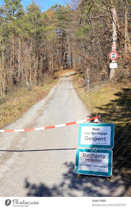 Waldweg ist durch Verkehrszeichen und Absperrband für Fußgänger gesperrt sperren absperren Forst Waldarbeiter Arbeiter Baum Weg Feldweg abgesperrt Gefahr Straße