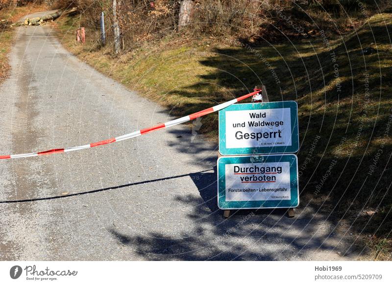 Waldweg ist durch Verkehrszeichen und Absperrband für Fußgänger gesperrt sperren absperren Forst Waldarbeiter Arbeiter Baum Weg Feldweg abgesperrt Gefahr Straße