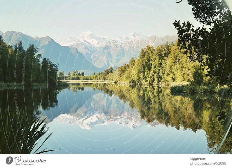 Naturspiegel Neuseeland Gebirgssee Spiegel Lake Matheson new zeeland Berge u. Gebirge mountains klares wasser spring water clear water mountain lake mirror