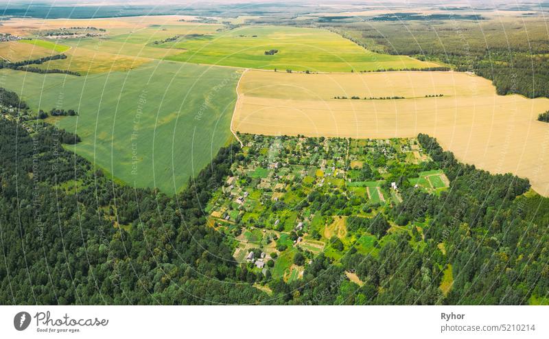 Countryside Rural Green Field Landschaft mit jungen Weizensprossen und Wald im Frühling Sommer bewölkten Tag. Landwirtschaftliches Feld. Junge Weizensprossen. Luftaufnahme