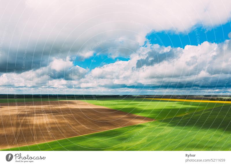 Countryside Rural Green Field Landschaft mit jungen Weizenfeld und leeren Boden im Frühling Tag. Landwirtschaftliches Feld. Luftaufnahme Antenne