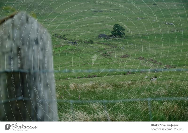 Bauernhofruine in den Hügeln von Wales hinter einem Zaun Ruine grüne Hügel ländlich Wiese Weide Landwirtschaft Landschaft Gras Grasland Zaunpfosten Pfosten