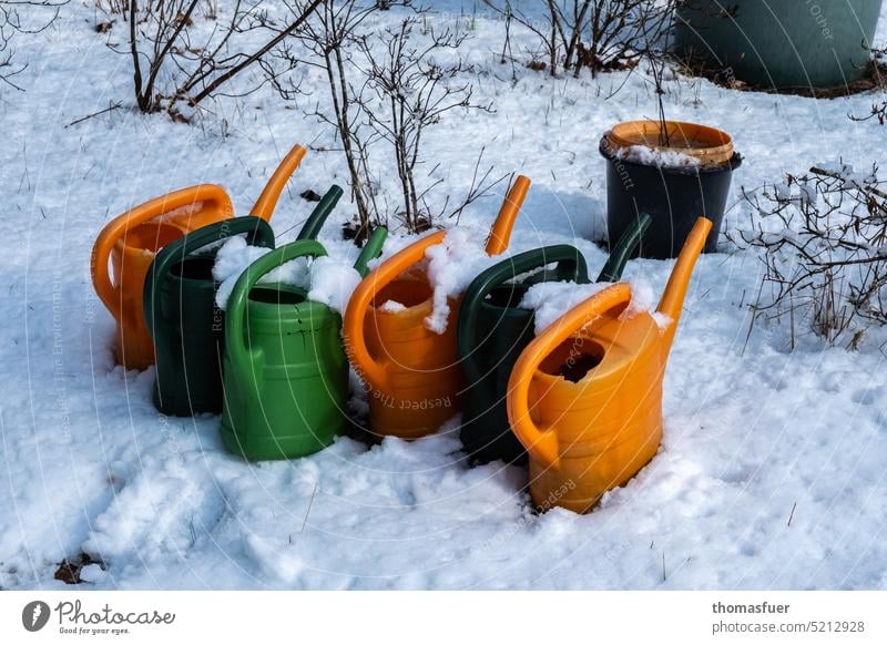 bunte Gießkannen im Schnee Blätter Winter Schorfheide Jahreszeiten Natur Licht Sonne Schatten Sträucher Garten Friedhof Tauwetter Tauwetterstimmung