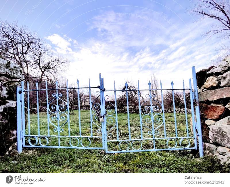 Ein himmelblaues, schmiedeeisernes Tor trennt beide Weiden. Winter Strukturen & Formen ruhig friedlich Natur Dorf Tag Tageslicht Grün Grau Himmel Steinmauer