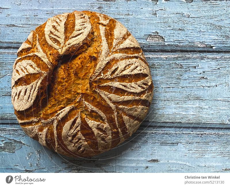 Ein ofenwarmer duftender Brotlaib mit Blattmuster liegt auf hellblauem Untergrund unser täglich Brot selbstgebacken genießen Appetit & Hunger Vogelperspektive