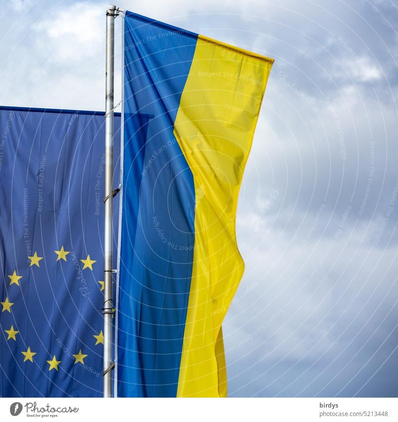 Ukraineflagge und EU-Flagge wehen nebeneinander im Wind Europäische Union Eu-Flagge Politik & Staat Europaflagge Europafahne europäisch Ukrainefahne