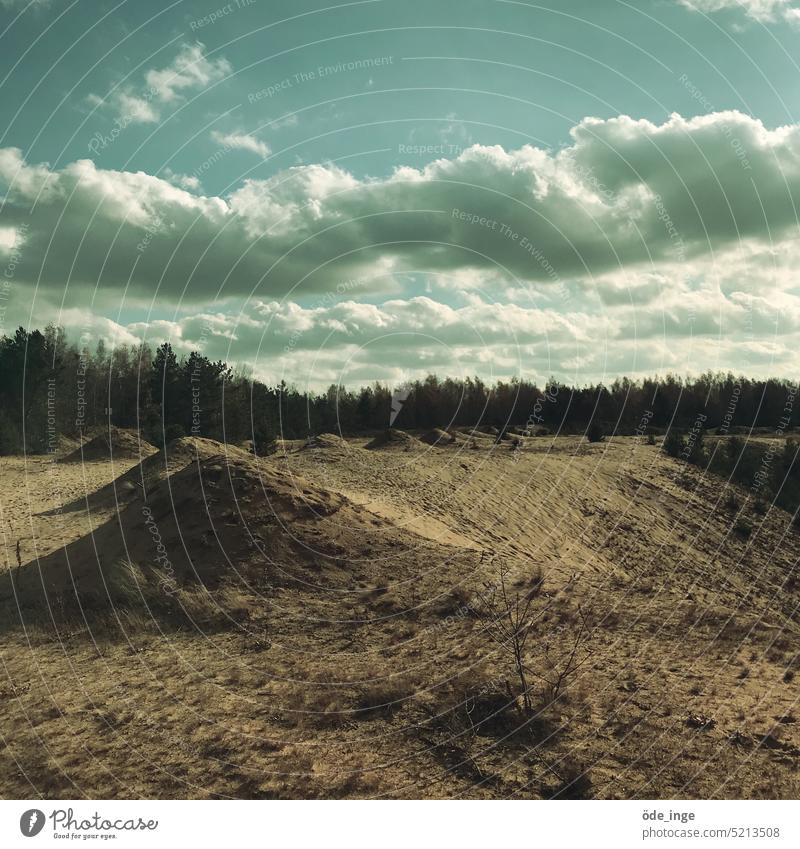 Sand, Wald, Himmel Landschaft Natur Außenaufnahme Wolken Sandtagebau Hügel