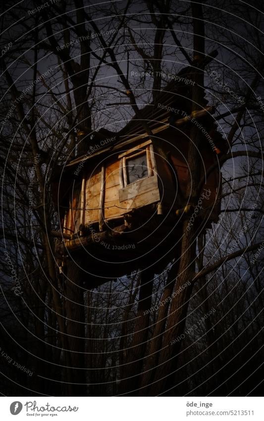 Zweigstelle Baumhaus Holz Hütte Wald Haus Gebäude Architektur Aussteiger Bretterbude Abendlicht dunkel düster geheimnisvoll Baumkrone Einsamkeit einsam oben