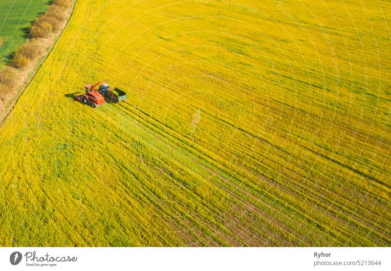 Luftaufnahme der ländlichen Landschaft. Mähdrescher und Traktor arbeiten zusammen auf dem Feld. Ernte von Ölsaaten im Frühjahr. Landwirtschaftliche Maschinen Sammeln Blühende Rapssamen Canola Raps. Erhöhte Ansicht