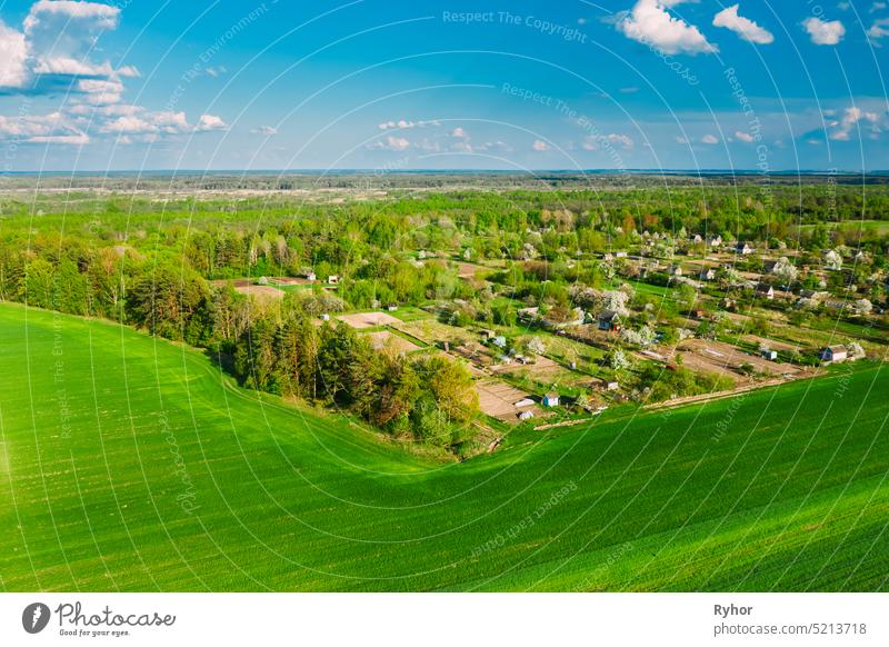 Countryside Rural Green Field Landschaft mit jungen Weizensprossen und kleinen russischen Dorf im Frühling Sommer bewölkten Tag. Landwirtschaftliches Feld. Junge Weizensprossen. Luftaufnahme