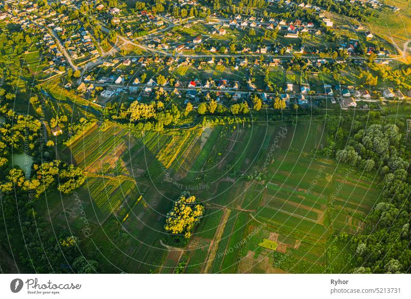 Luftaufnahme von Gemüsegärten in einer kleinen Stadt oder einem Dorf. Skyline im Sommer Abend. Village Garden Beds In Vogelperspektive Antenne Ackerbau schön