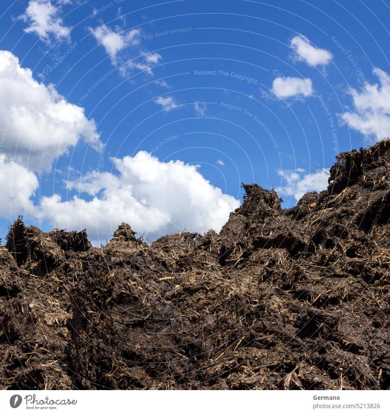 Natürlicher Misthaufen auf einem Grundstück Düngung Düngemittel dung Natur organisch Haufen Bauernhof Ackerbau Feld natürlich ländlich Tier Kompost braun muck