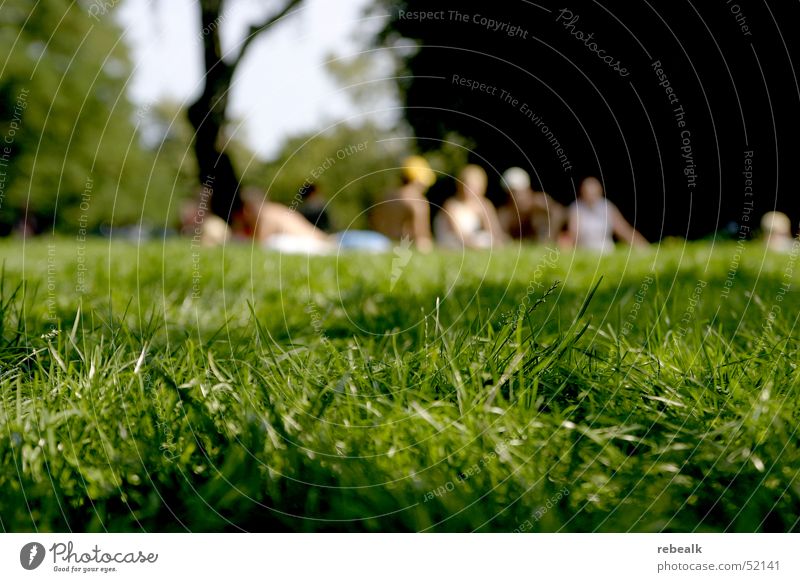 Grasshopping Freude Freizeit & Hobby Ferien & Urlaub & Reisen Freiheit Camping Sommer Sonne Mensch Menschengruppe Schönes Wetter Wärme Park Wiese Kommunizieren