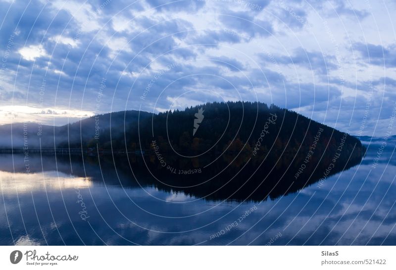 Zeitumstellung | Früher Bilder im Dämmerlicht machen ;) Natur Landschaft Wasser Himmel Wolken Herbst Baum Insel See blau Stimmung Durst Farbfoto Außenaufnahme