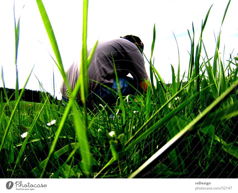 Hocken im Gras hocken Wiese Halm Natur