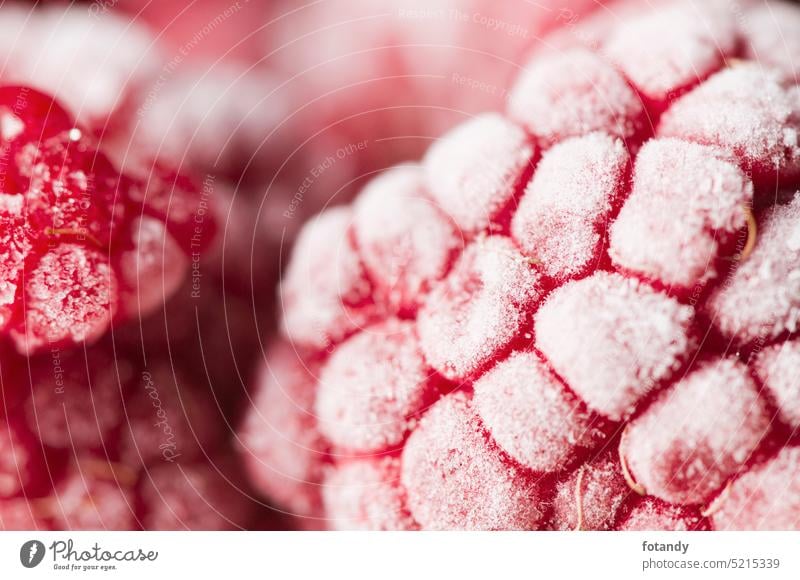 Makro gefrorener Himbeeren Detailaufnahme Eis Eiskristalle Haltbarkeit haltbar machen Lagerung Nahaufnahme Natur Objekt Obst pflanzlich organisch Stilleben Tau