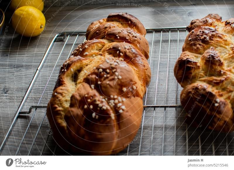 Osterbrot Hefezopf Hefekuchen Kuchen Küche Lebensmittel Farbfoto Backwaren Teigwaren süß Menschenleer frisch lecker Innenaufnahme Ostergeschenk Süßwaren Essen