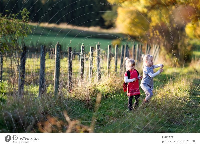 letzter bunter herbsttag feminin Mädchen Geschwister Schwester Kindheit 2 Mensch 3-8 Jahre Umwelt Natur Landschaft Herbst Schönes Wetter Wiese Wald entdecken