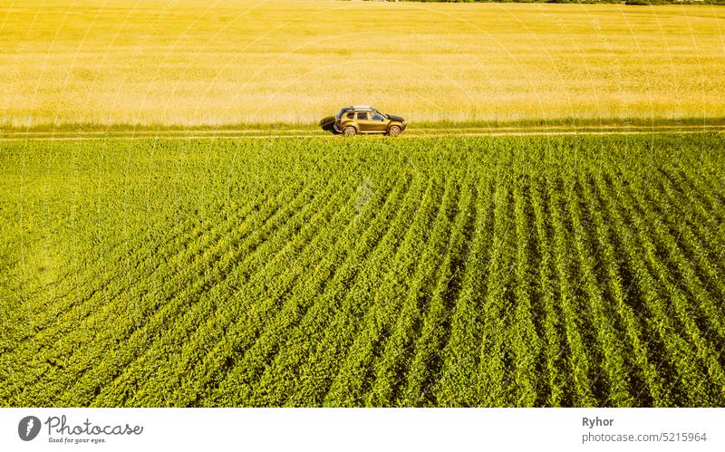 Luftaufnahme von Auto SUV geparkt in der Nähe von Landstraße im Frühjahr Feld ländliche Landschaft. Auto zwischen jungen Weizen und Maisplantage Ackerland oben