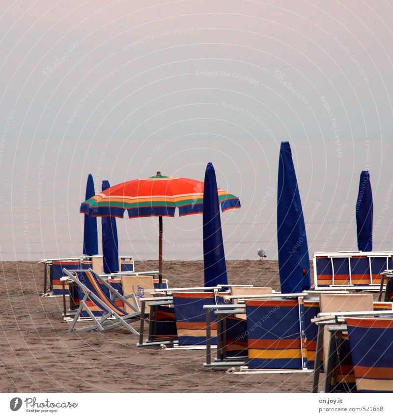 Strandleben Erholung ruhig Schwimmen & Baden Ferien & Urlaub & Reisen Tourismus Sommer Sommerurlaub Sonnenbad Meer Umwelt Himmel Horizont Klima Klimawandel