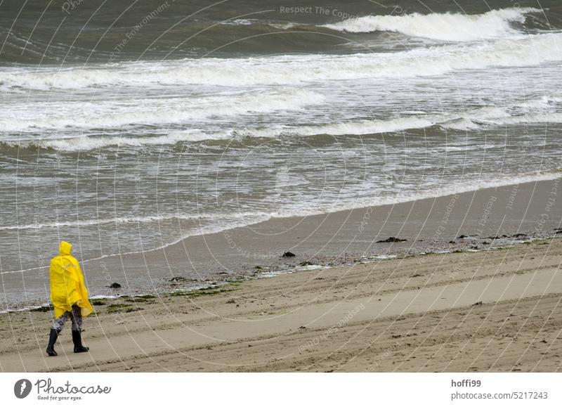 im Regen gehen am Strand Regenmantel Strandspaziergang gelb Wetter Natur im Freien nass Jacke Wasser regnerisch wasserdicht Ebbe und Flut Insel Spaziergang