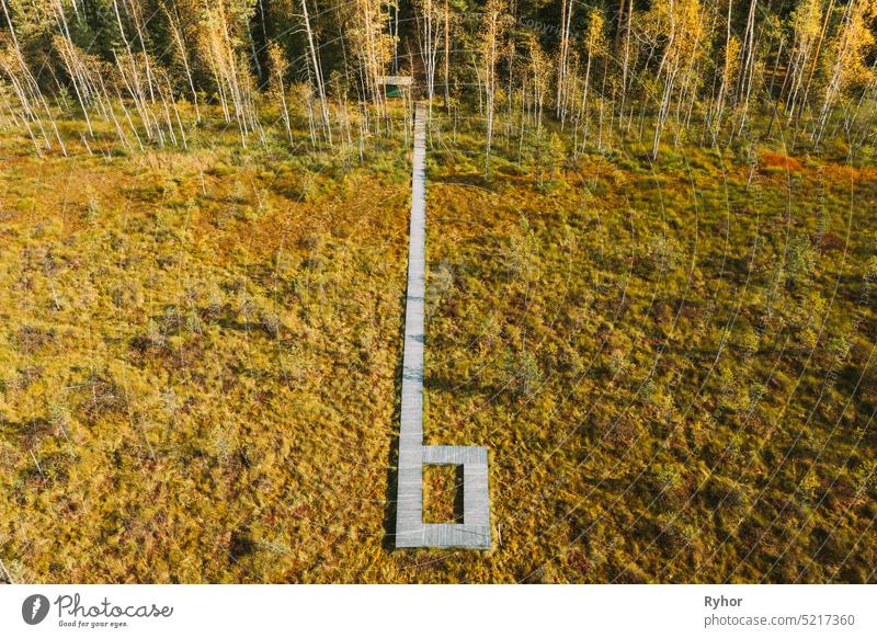 Weißrussland, Berezinsky Biosphärenreservat. Vogelperspektive der hölzernen Weg Weg von Sumpf Sumpf zu Wald im Herbst sonnigen Tag. Rundblick Europa