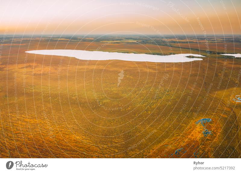 Bezirk Miory, Region Witebsk, Belarus. Der Yelnya-Sumpf. Upland und Übergangsmoore mit zahlreichen Seen. Erhöhte Luftaufnahme von Yelnya Naturreservat Landschaft. Berühmtes Naturdenkmal