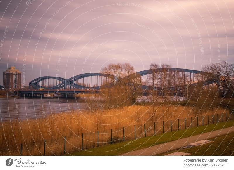 Brücke über der Elbe Elbe, Brücke, Sonnenuntergang, Sommer, sundown Hamburg Himmel Hafen Wasser Deutschland Abend Wolken Hafenstadt Hamburger Hafen