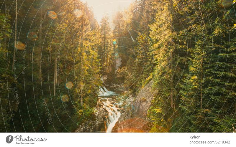 Tatra-Nationalpark, Polen. Wasserfall Wodogrzmoty Mickiewicza Im Sommer Berge Sonnenuntergang Landschaft. Sonnenlicht durch Bäume in der Tatra. Europäische Natur. UNESCO