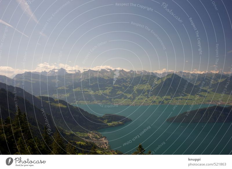 Vierwaldstätter See Umwelt Natur Landschaft Luft Wasser Himmel Wolken Horizont Sonne Sonnenlicht Sommer Klima Klimawandel Schönes Wetter Schnee Baum Wald Felsen