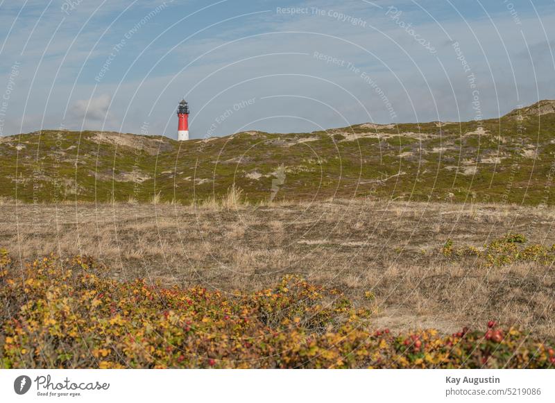 Hörnumer Leuchtturm auf Sylt Strand Meer Himmel Küste Sand Landschaft Menschenleer Düne Außenaufnahme Gras Wolken Ferien & Urlaub & Reisen Insel Farbfoto Natur