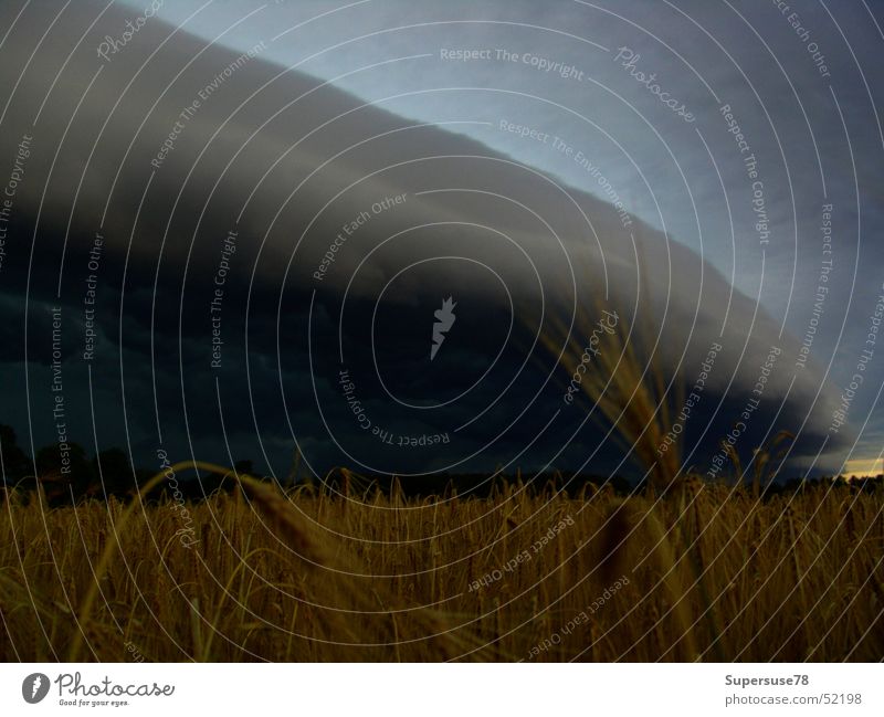 Gewitterwolke Wolken Weizen Gewitterwolken bedrohlich Independence Day Landschaft indipendence day gawaltig Jahrestag
