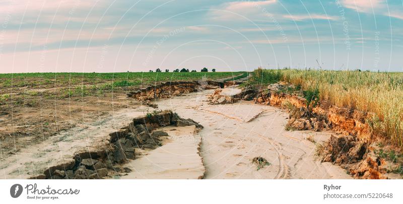 Landstraße nach starken Regenfällen auf dem Feld ausgewaschen. Sommer Feld landwirtschaftliche Landschaft. Panoramablick Ackerbau ländlich Straße Umwelt