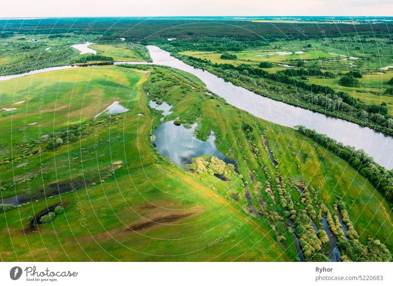 Luftaufnahme. Grüner Wald, Wiese und Fluss-Sumpf-Landschaft im Sommer. Top View of European Nature From High Attitude In Spring. Vogelperspektive der Flut des Flusses im Frühjahr. Weißrussland