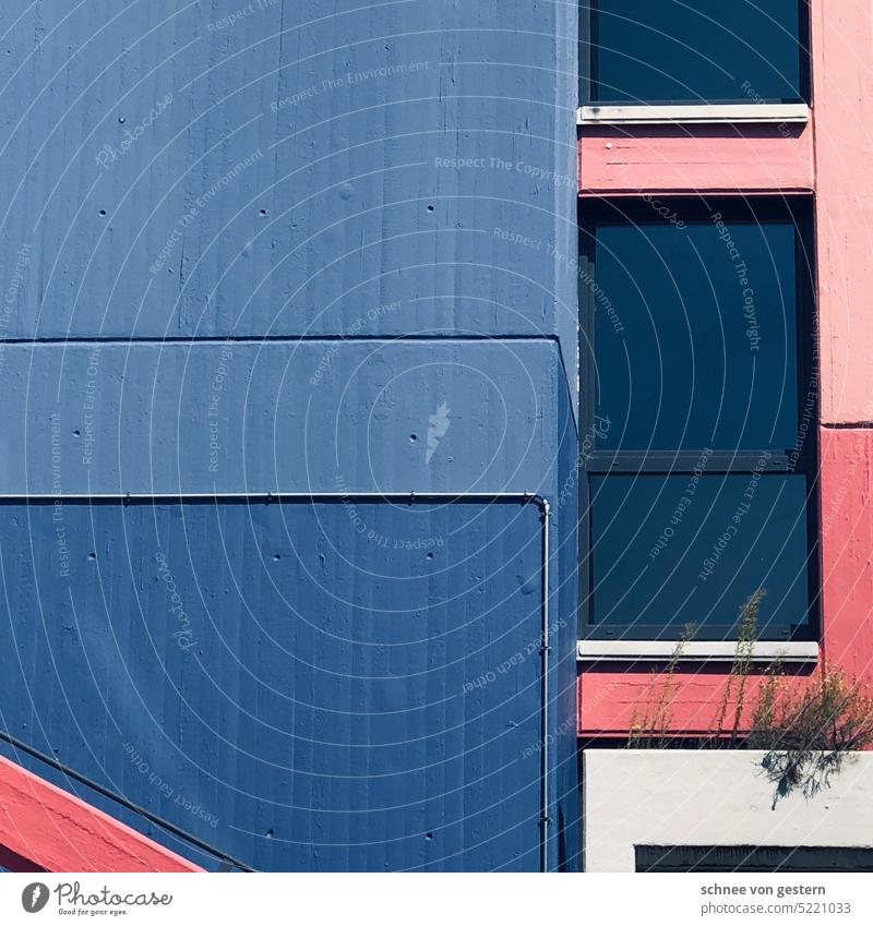 Grün gelb Haus Fassade Außenaufnahme Gebäude blau Himmel Fenster Architektur Blumenkasten alt Wand Bauwerk Tag Stadt Mauer Dach trist Menschenleer Farbfoto