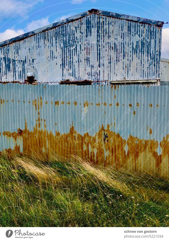 Iceland, mon amour Island Blech Hütte Gras Natur Außenaufnahme Farbfoto Landschaft Einsamkeit Gebäude Himmel Tag Wiese Menschenleer Haus Umwelt wohnen Wolken