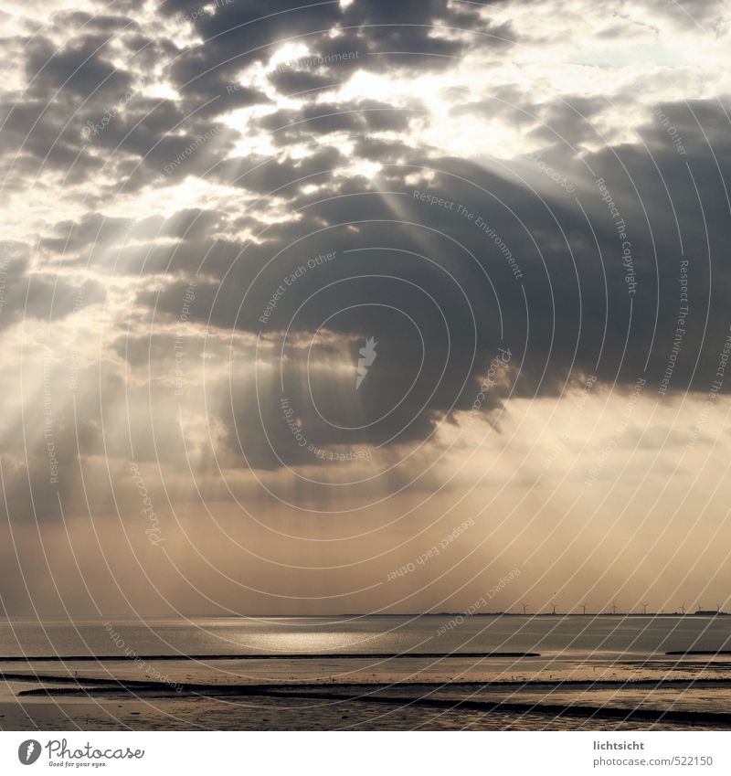 The Shining Umwelt Natur Landschaft Urelemente Wasser Wolken Gewitterwolken Horizont Sonnenlicht Wetter Schönes Wetter Küste Nordsee Meer ästhetisch