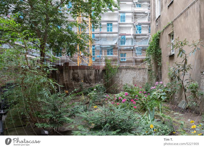 Hinterhof mit Baustelle Prenzlauer Berg Farbfoto Blumen Menschenleer Tag Stadt Stadtzentrum Außenaufnahme Berlin Hauptstadt Altstadt Haus Fenster Altbau Gebäude