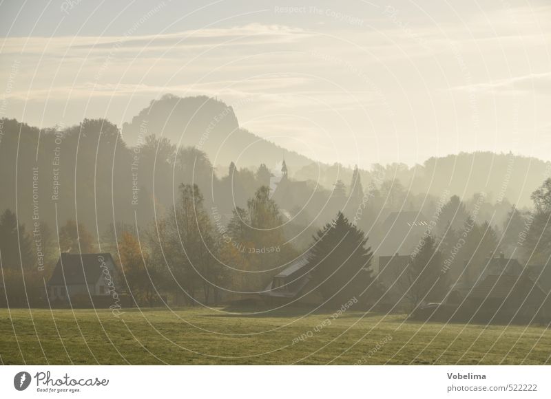 Morgen im Elbsandsteingebirge Ferien & Urlaub & Reisen Umwelt Landschaft Himmel Wetter Nebel Wiese Hügel Felsen Berge u. Gebirge Gipfel Thürmsdorf struppen