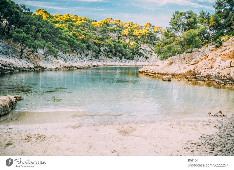 Französische Natur der Calanques an der azurblauen Küste Frankreichs. Die Küste von Port Pin bei Cassis in Südfrankreich. Bucht, Pinienwald und sonniger blauer Himmel