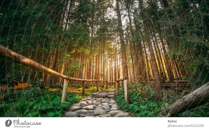 Tatra-Nationalpark, Polen. Wanderwege im Sommer Tatra Gebirge Landschaft TPN schön Europa Wald wandern Berge u. Gebirge national Natur niemand im Freien Park