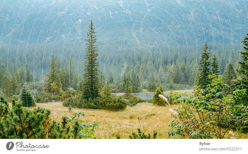 Tatra-Nationalpark, Polen. Kleine Berge See Zabie Oko oder Male Morskie Oko im Sommer Morgen. Fünf-Seen-Tal. Schöne landschaftliche Aussicht. Europäische Natur