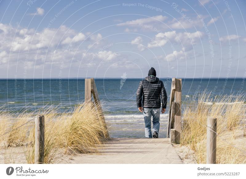 Rückansicht eines Mannes in Winterjacke, der auf einer Düne eine Treppe zum Strand hinunter geht Stranddüne Wege & Pfade Gras Holzbohlen Frühling Meer Küste