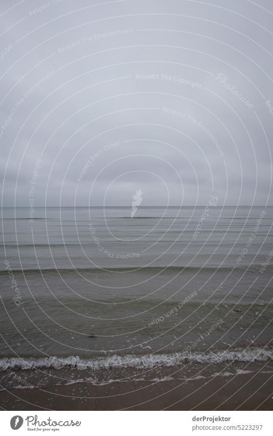 Ruhige Ostsee in braun und grau auf Rügen III Winterstimmung Winterurlaub Panorama (Aussicht) Licht Tag Textfreiraum Mitte mehrfarbig Strukturen & Formen