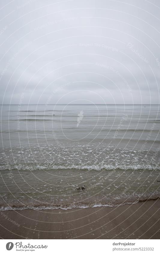 Ruhige Ostsee in braun und grau auf Rügen Winterstimmung Winterurlaub Panorama (Aussicht) Licht Tag Textfreiraum Mitte mehrfarbig Strukturen & Formen