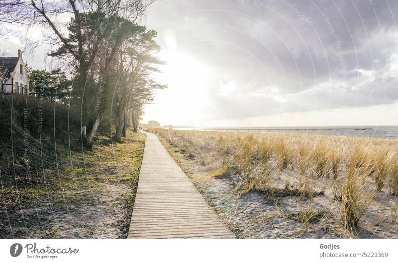 Weg entlang einer Düne mit Blick auf die Ostsee Dünenweg Strand Bäume Dünengras Haus Wolken Licht Sand Natur Landschaft Himmel Küste Erholung Meer