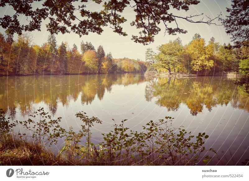 bärensee Umwelt Natur Landschaft Pflanze Urelemente Luft Wasser Himmel Herbst Klima Schönes Wetter Baum Sträucher Blatt Küste See frisch Hoffnung Idylle